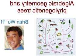 头像Brian Wu和图像的代数几何和系统发育树